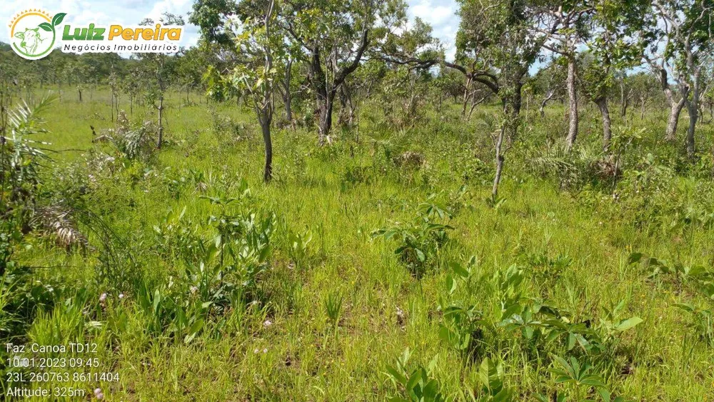 Terreno, 1452 hectares - Foto 7