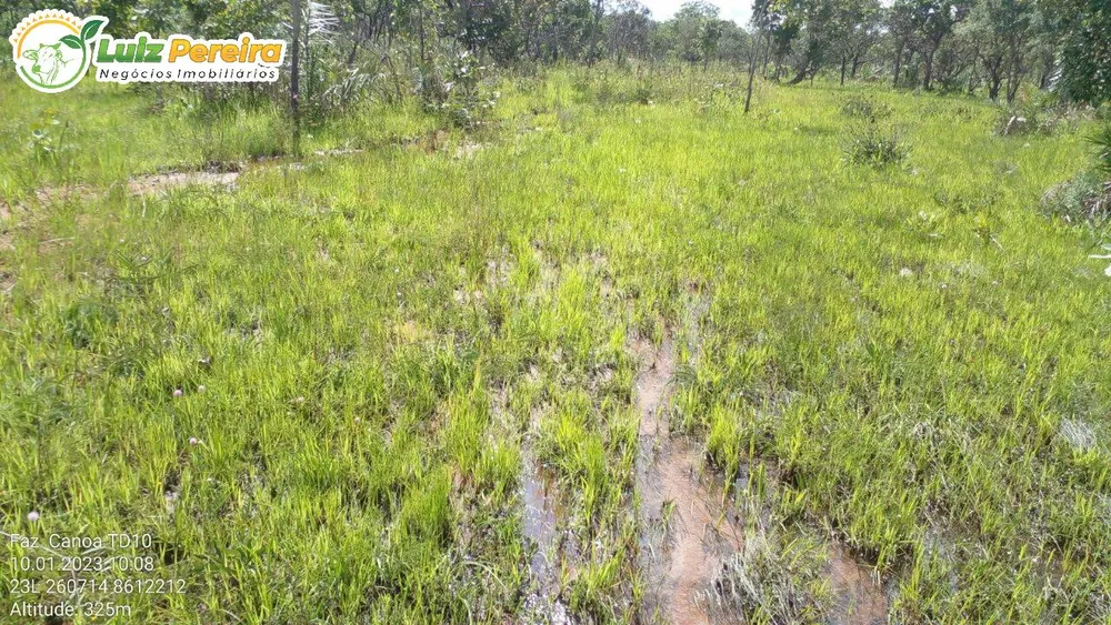 Terreno, 1452 hectares - Foto 6