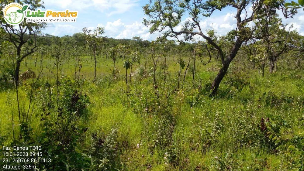 Terreno, 1452 hectares - Foto 14