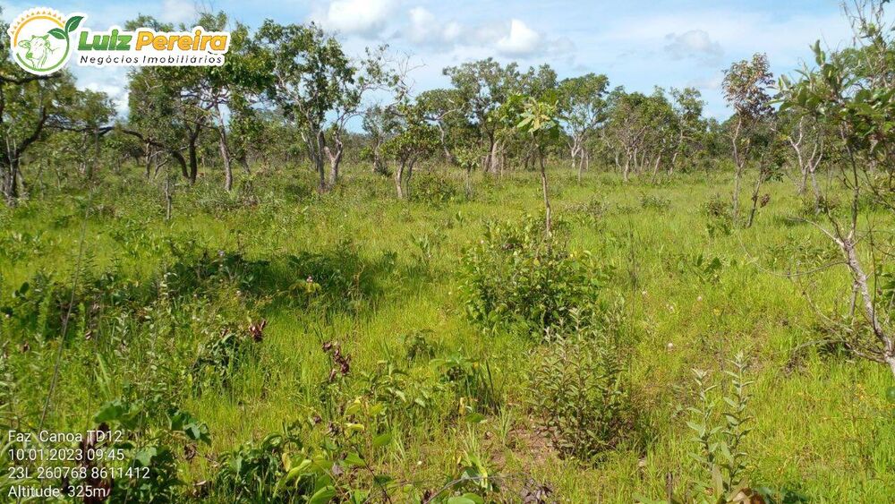 Terreno, 1452 hectares - Foto 2