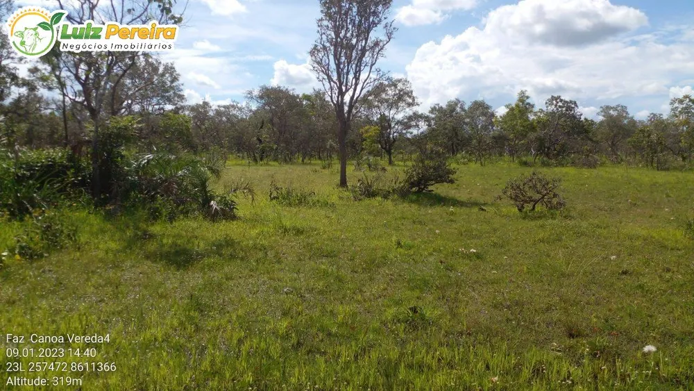 Terreno, 1452 hectares - Foto 2