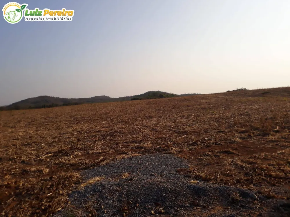Terreno, 339 hectares - Foto 3