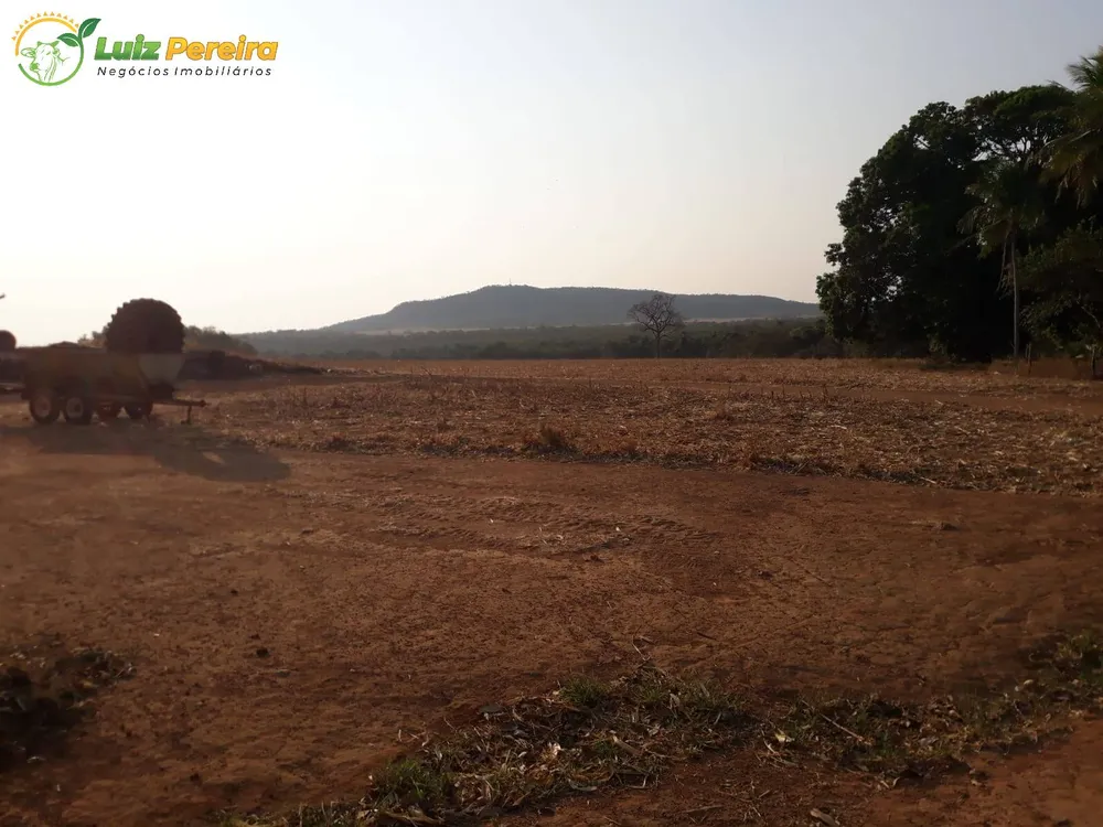 Terreno, 339 hectares - Foto 1