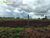 Terreno, 460 hectares - Foto 3