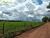 Terreno, 460 hectares - Foto 4