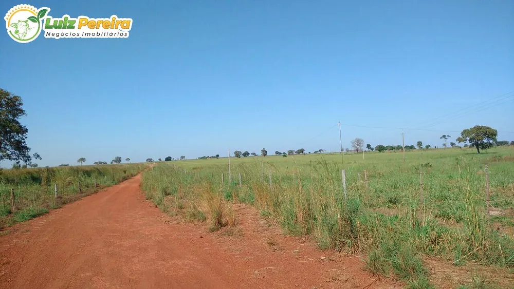 Terreno, 3 hectares - Foto 4