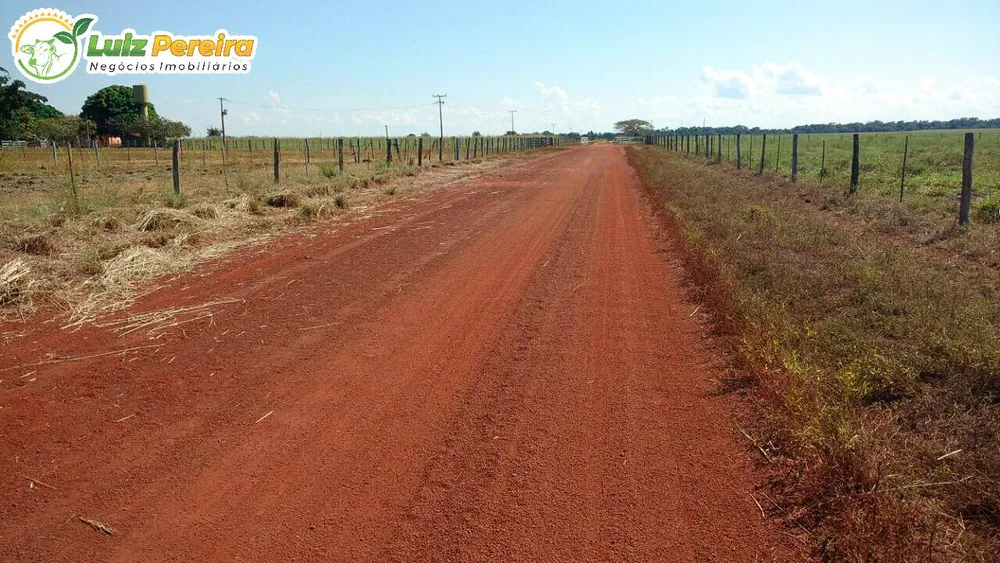 Terreno, 3 hectares - Foto 6