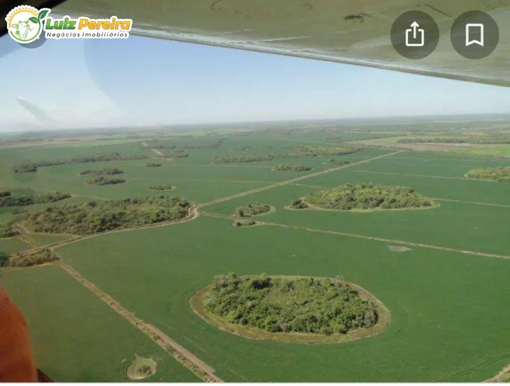 Terreno, 3 hectares - Foto 2