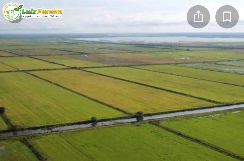 Terreno, 3 hectares - Foto 3