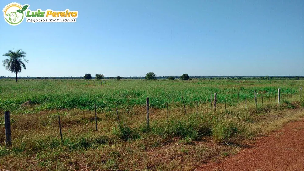 Terreno, 3 hectares - Foto 3