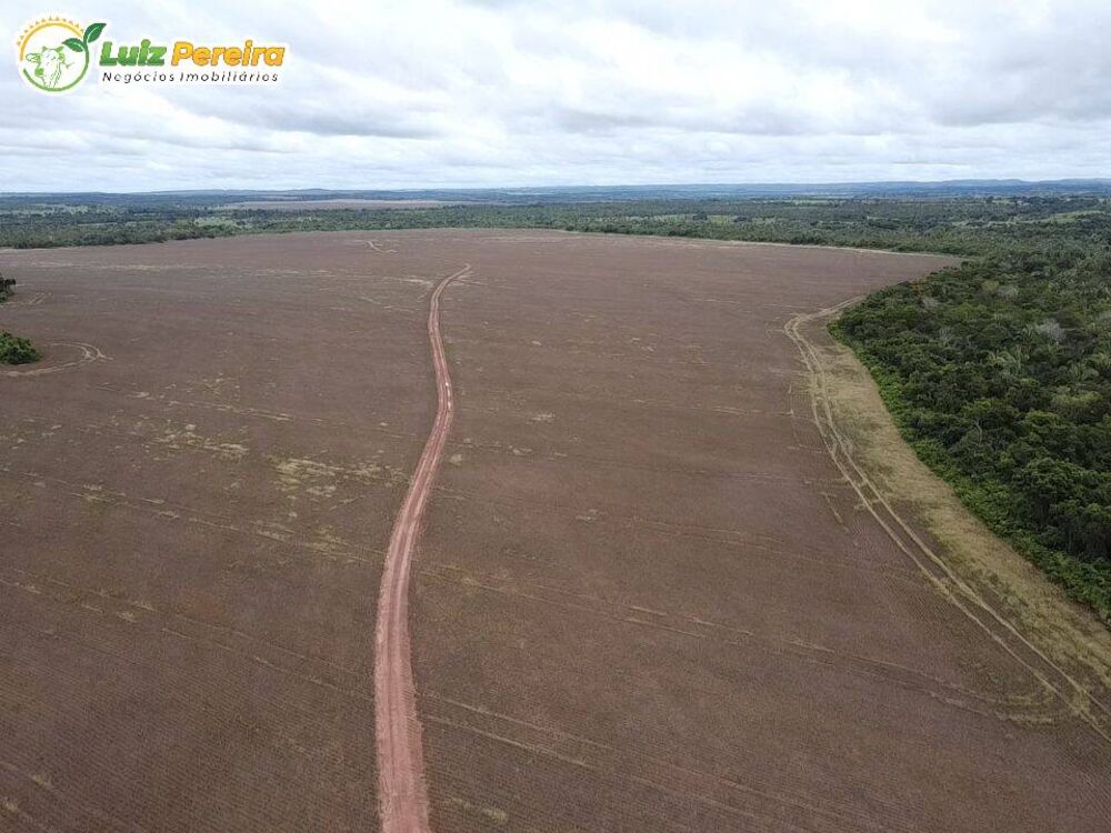 Terreno, 803 hectares - Foto 2