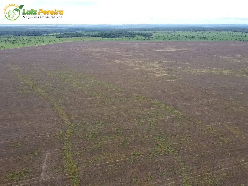 Terreno, 803 hectares - Foto 11