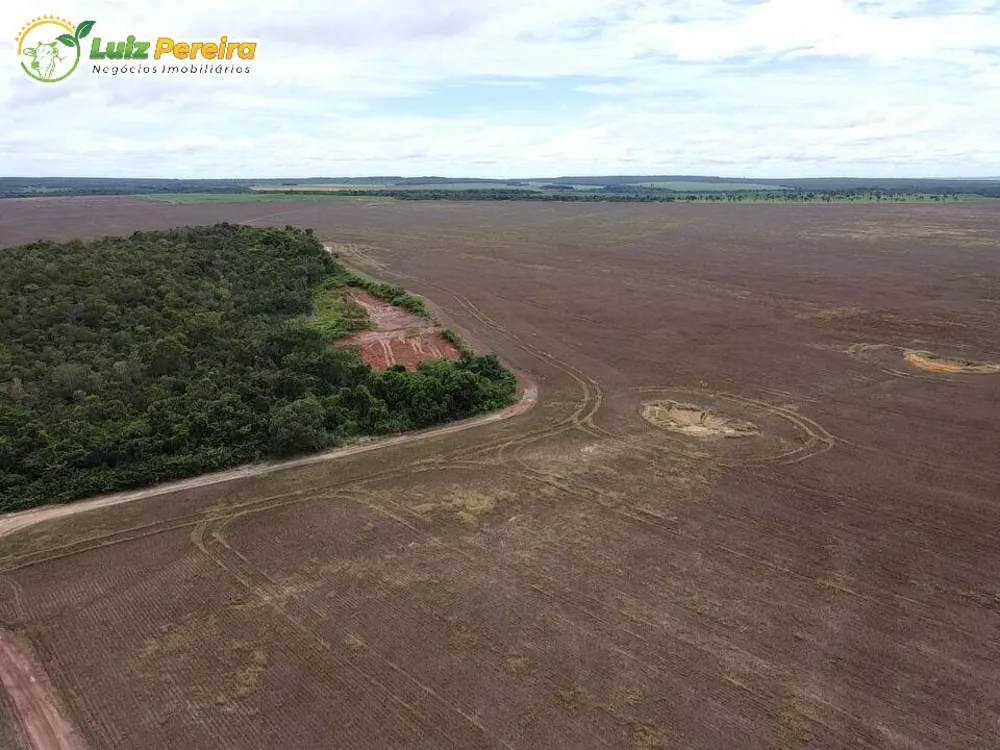 Terreno, 803 hectares - Foto 3