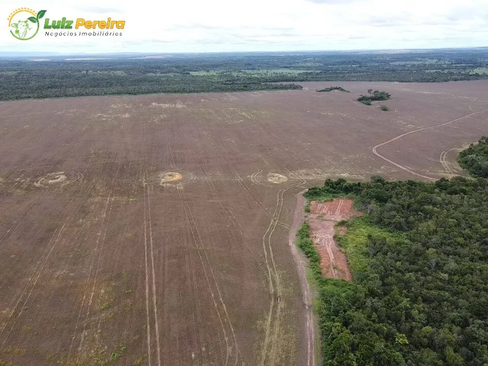 Terreno, 803 hectares - Foto 2