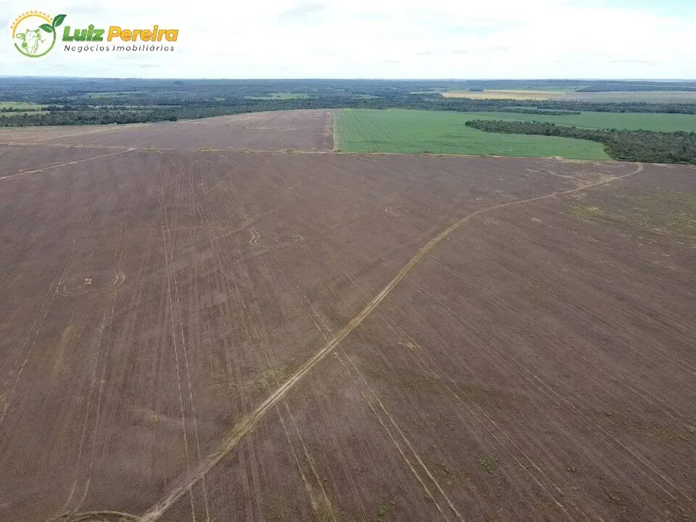 Terreno, 803 hectares - Foto 6