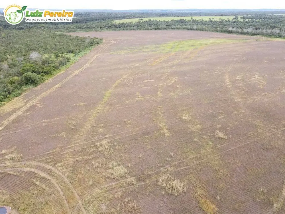 Terreno, 803 hectares - Foto 9