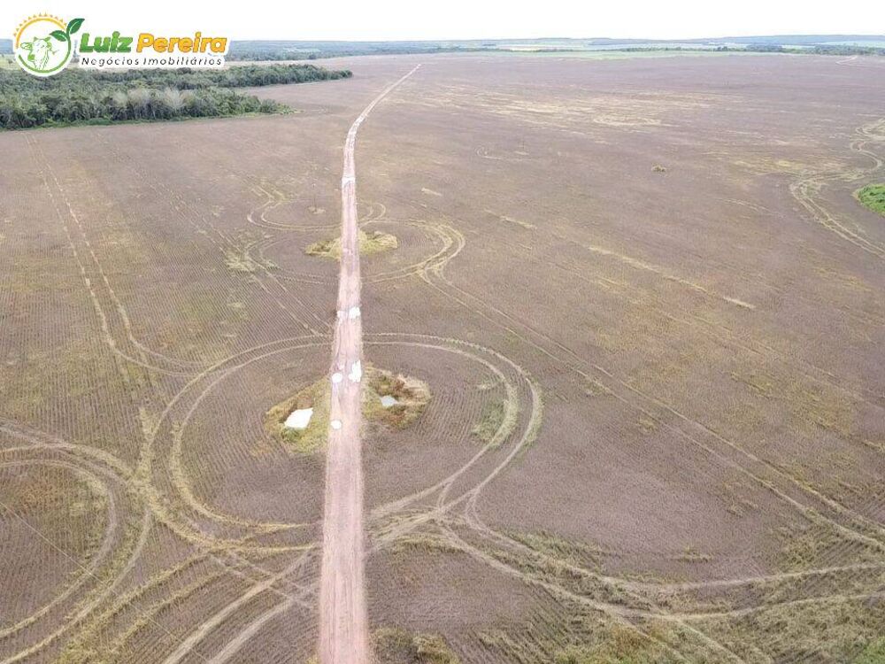 Terreno, 803 hectares - Foto 1