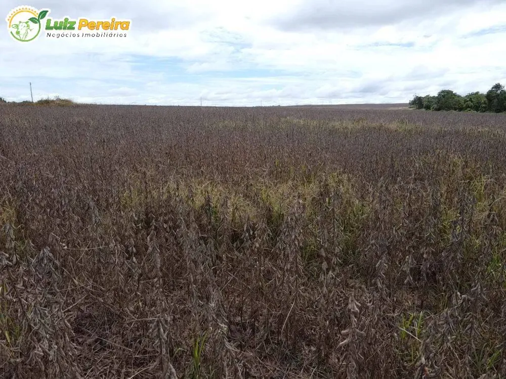 Terreno, 803 hectares - Foto 13