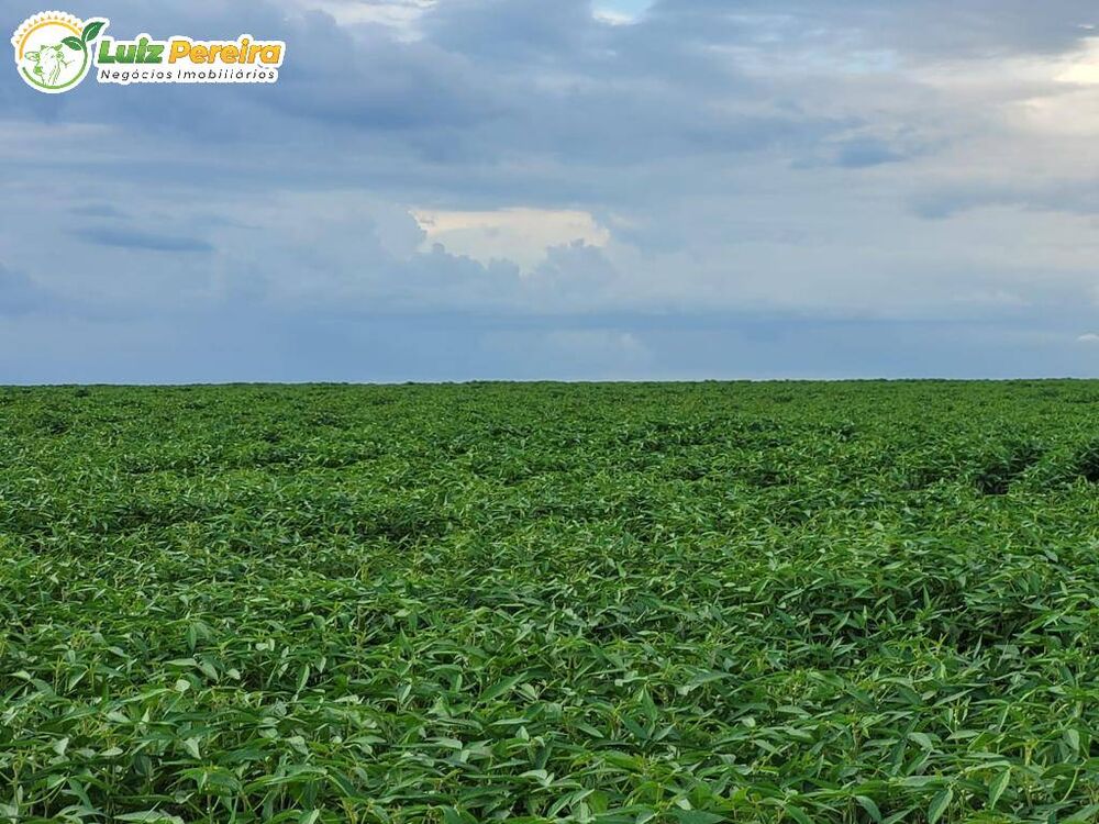 Terreno, 958 m² - Foto 2