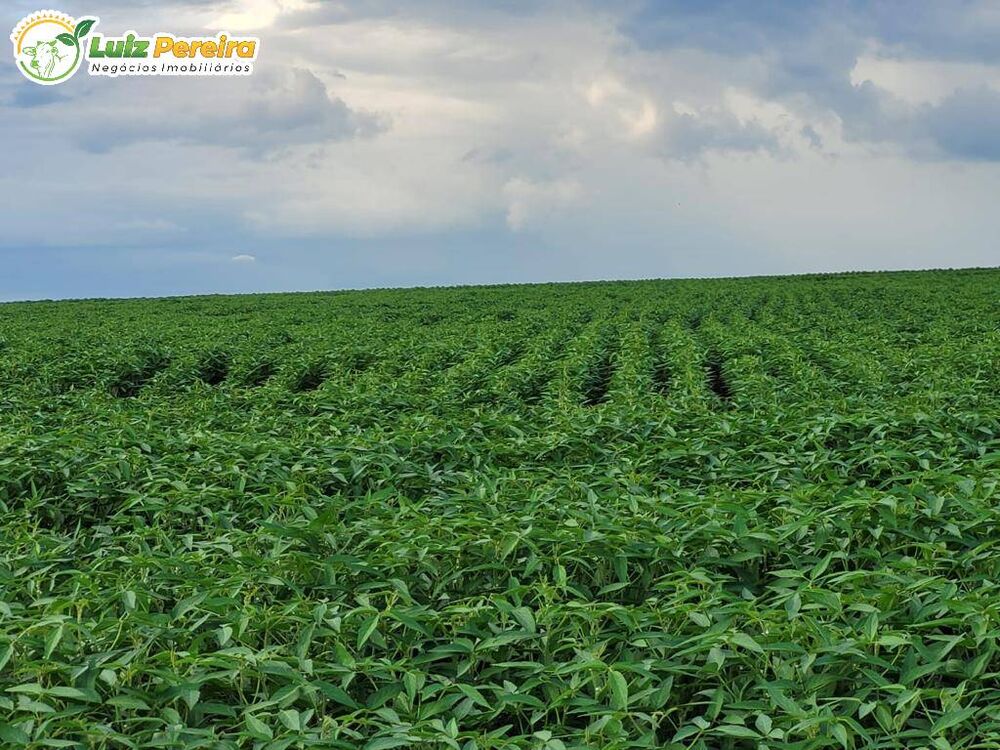 Terreno, 958 m² - Foto 1