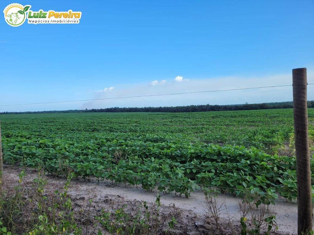 Terreno, 958 m² - Foto 3