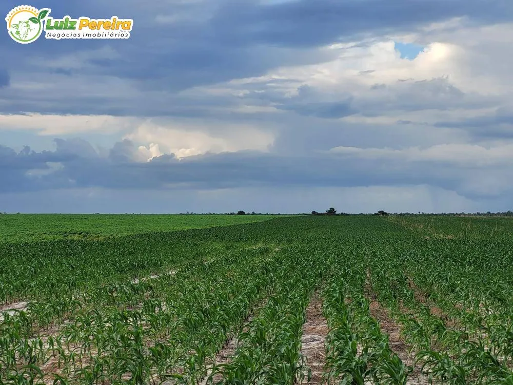 Terreno, 646 m² - Foto 4
