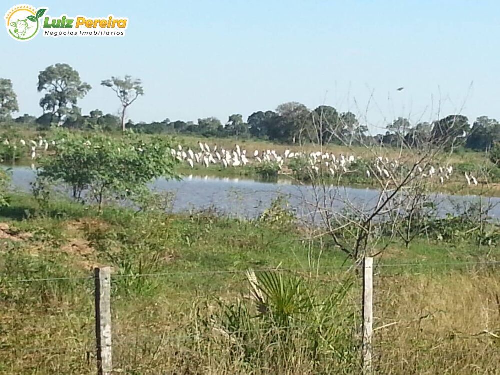 Terreno à venda, 220700000m² - Foto 2