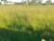 Terreno, 22070 hectares - Foto 1