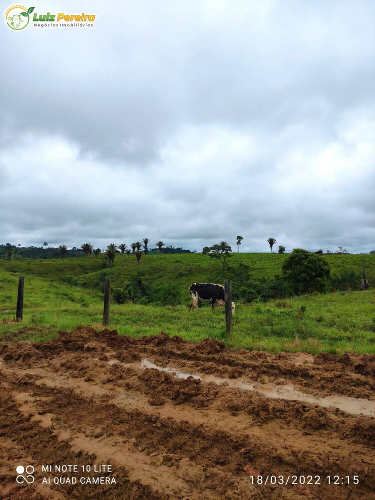 Terreno à venda, 9680000m² - Foto 4