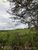 Terreno, 968 hectares - Foto 1