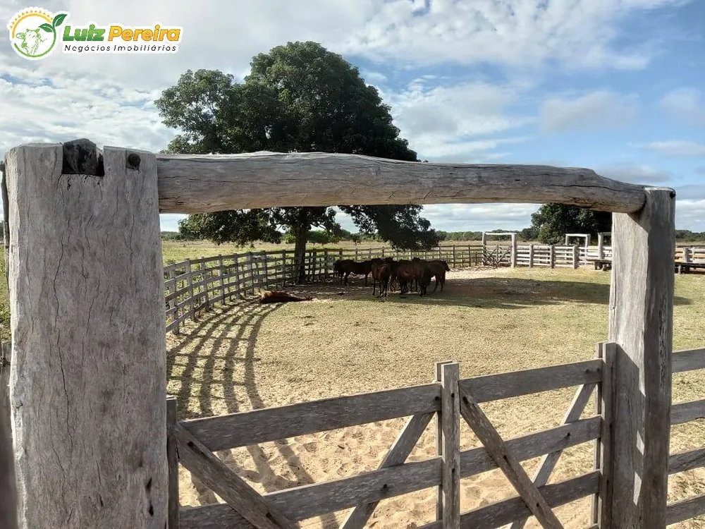 Terreno, 4900 hectares - Foto 14