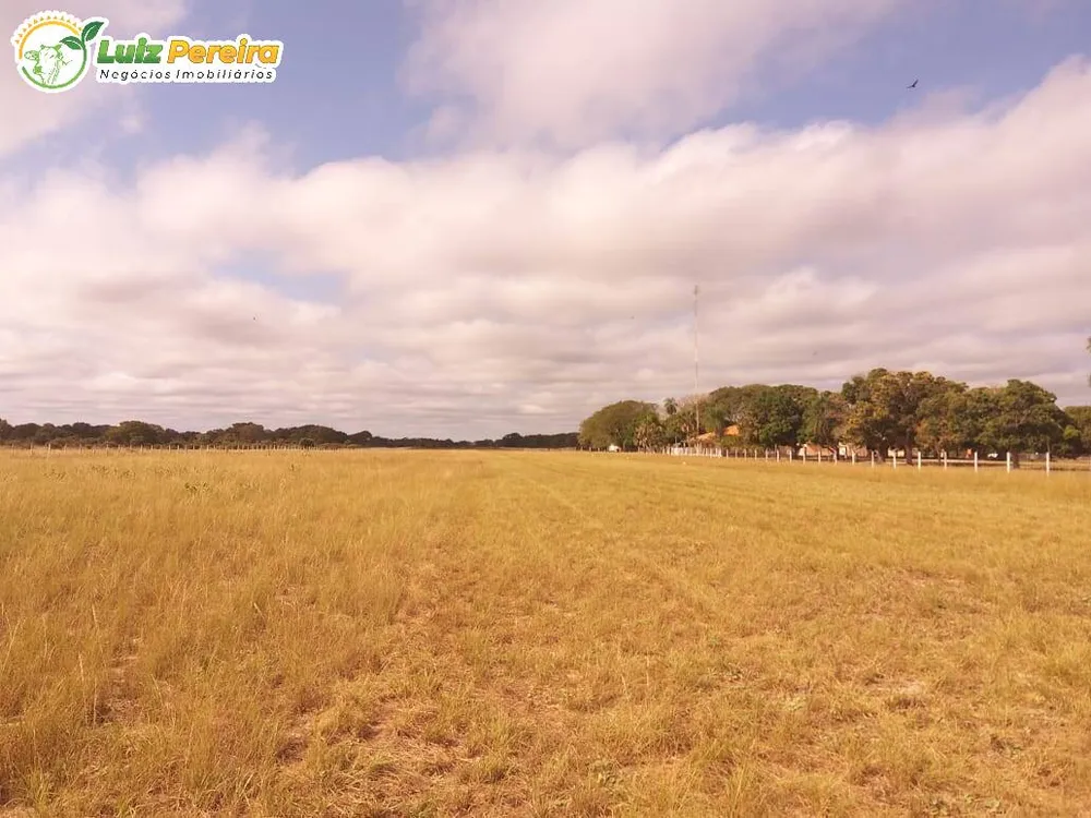 Terreno, 4900 hectares - Foto 9