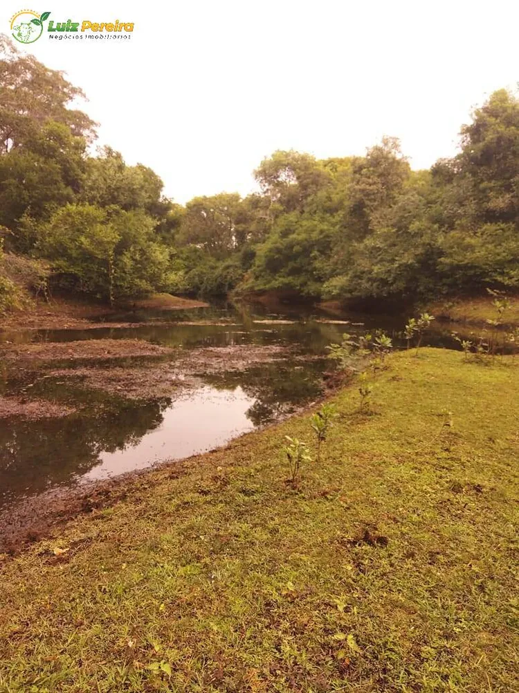 Terreno, 4900 hectares - Foto 3