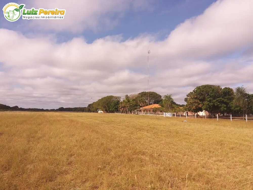 Terreno, 4900 hectares - Foto 8