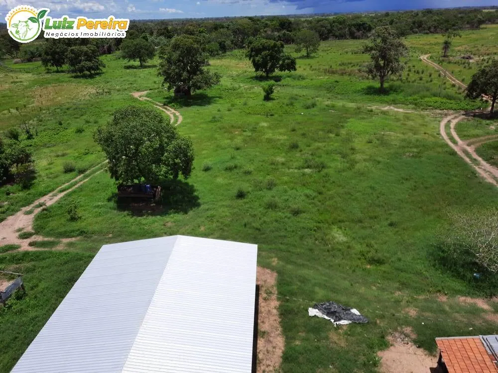 Terreno, 4900 hectares - Foto 2