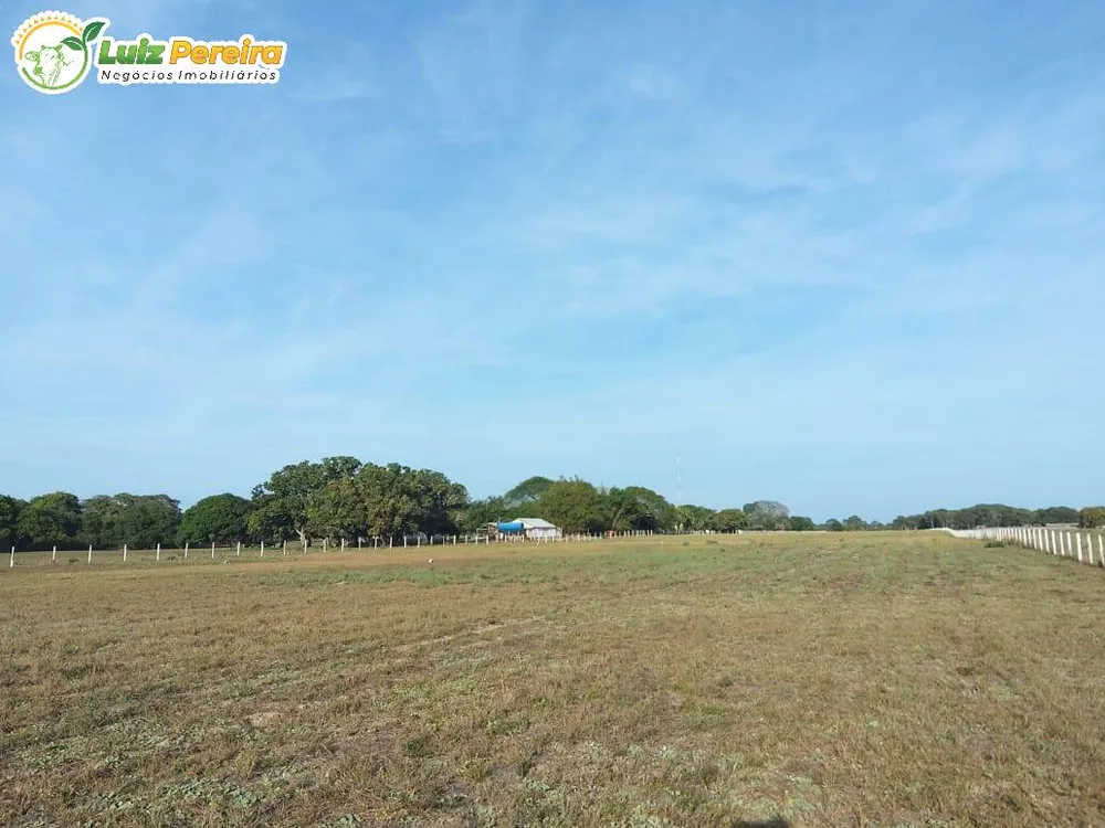 Terreno, 4900 hectares - Foto 4