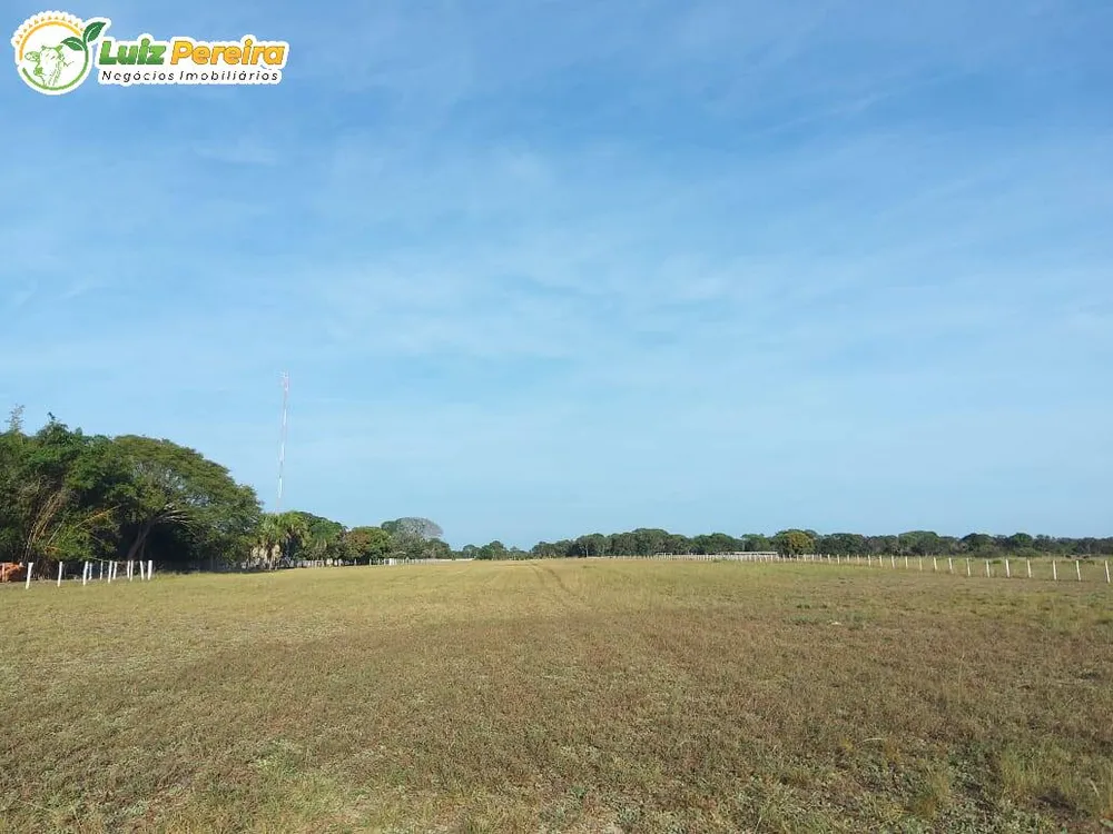 Terreno, 4900 hectares - Foto 6