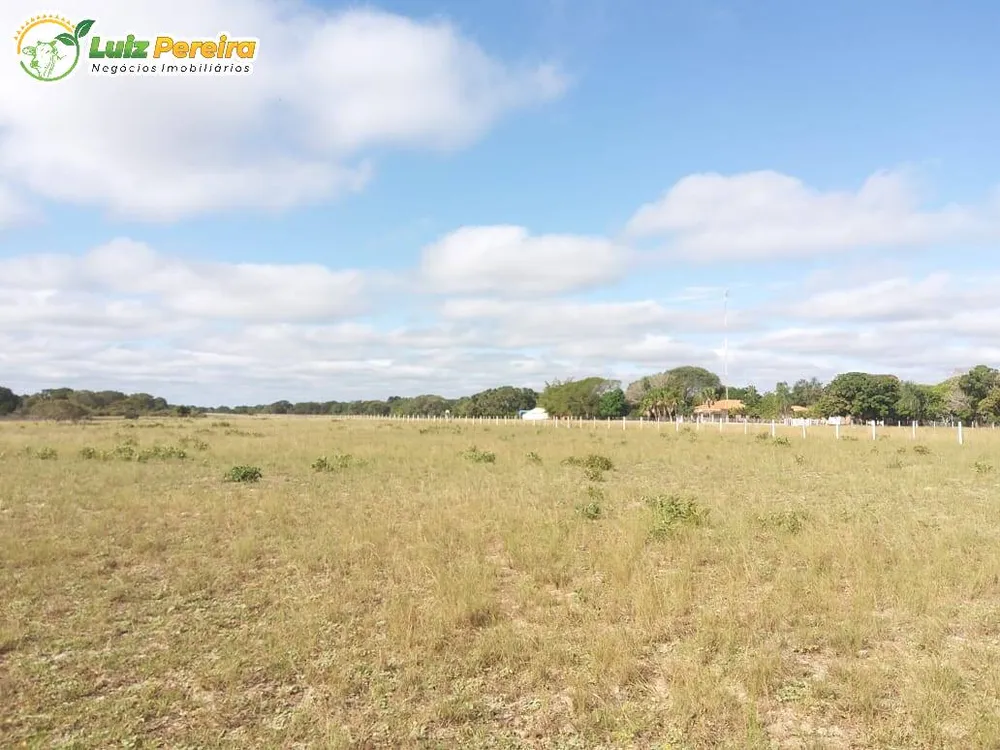 Terreno, 4900 hectares - Foto 7