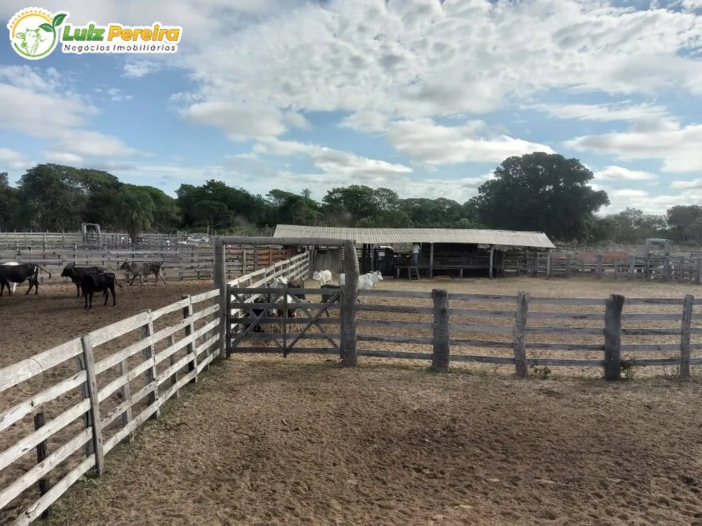 Terreno, 4900 hectares - Foto 13