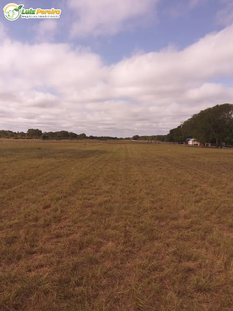 Terreno, 4900 hectares - Foto 10
