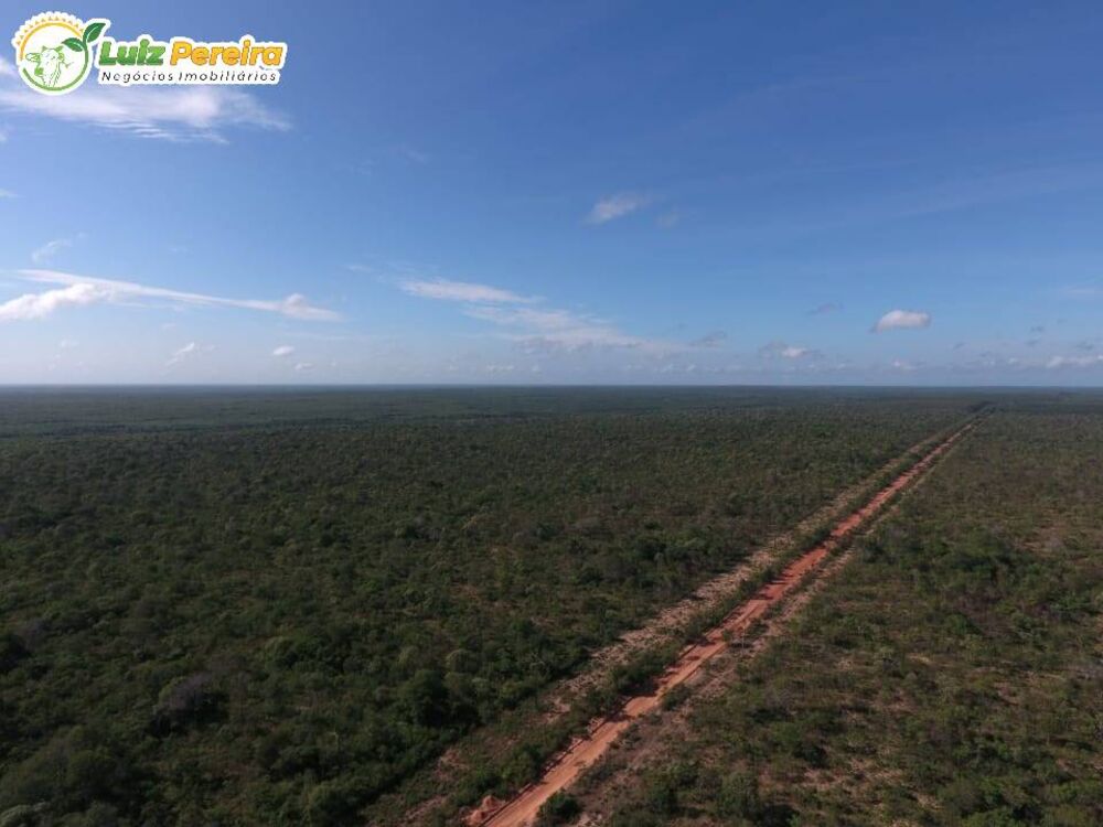 Terreno, 2 hectares - Foto 2