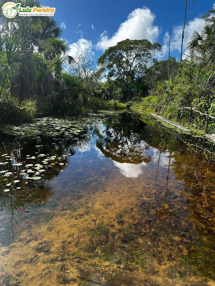 Terreno, 2 hectares - Foto 1