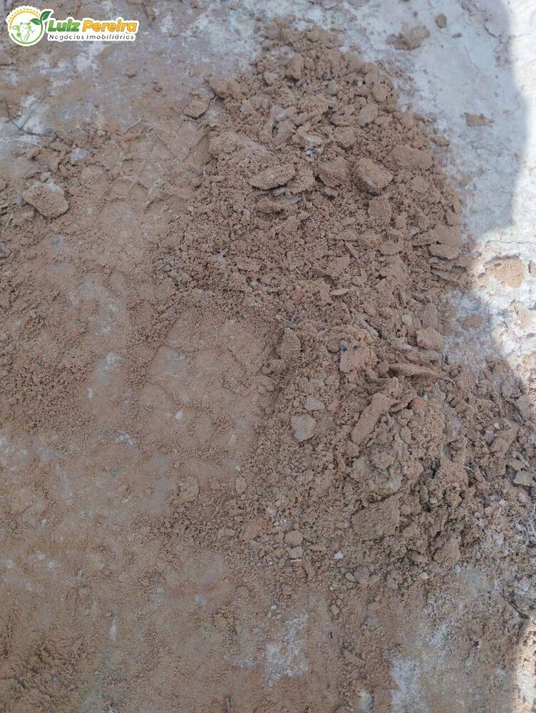 Terreno, 2 hectares - Foto 5