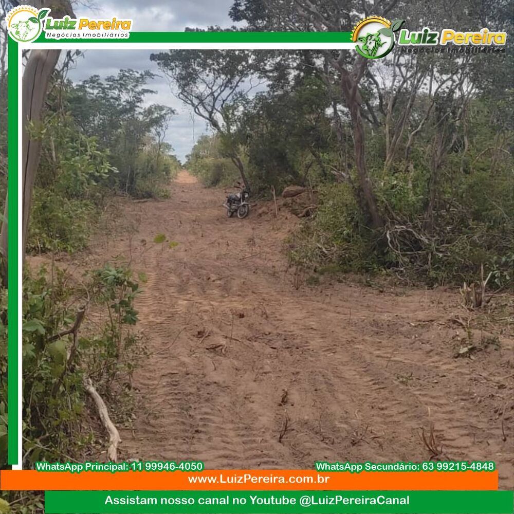 Terreno, 2 hectares - Foto 4