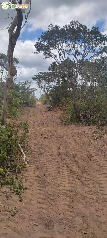 Terreno, 2 hectares - Foto 3