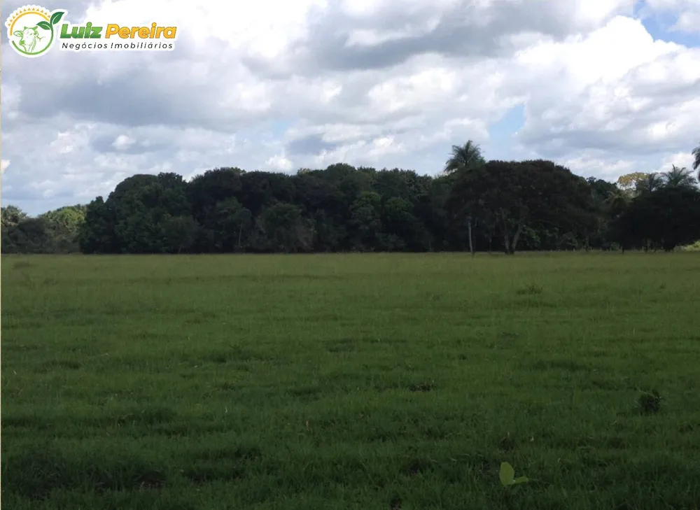Terreno, 2251 m² - Foto 6