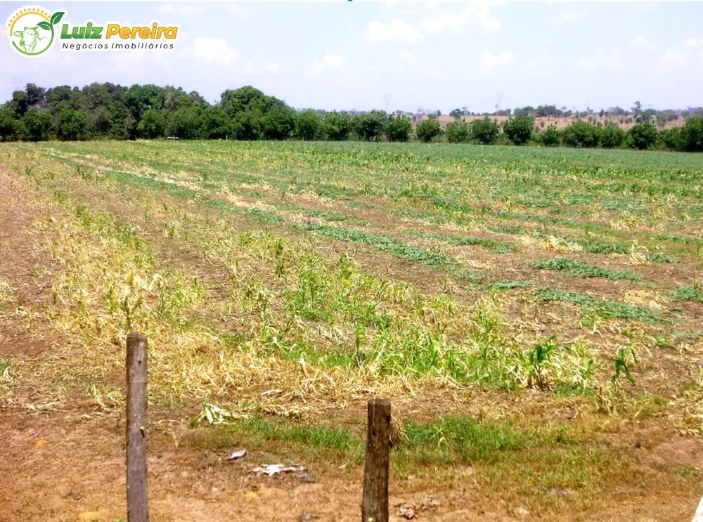 Terreno, 2251 m² - Foto 3