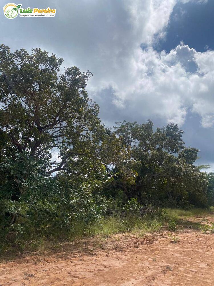 Terreno, 2120 hectares - Foto 2