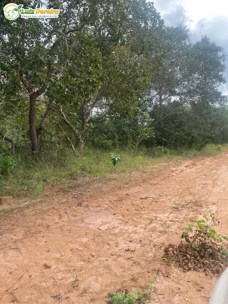 Terreno, 2120 hectares - Foto 3