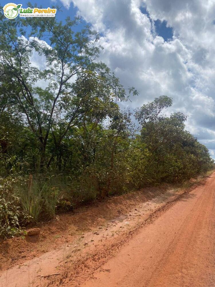 Terreno, 2120 hectares - Foto 4